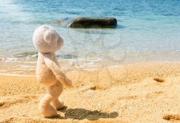 Teddy Bear Walking On The Beach In Thailand