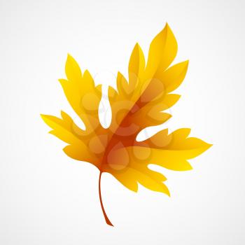Fall leaf isolated in white. Vector illustration EPS 10
