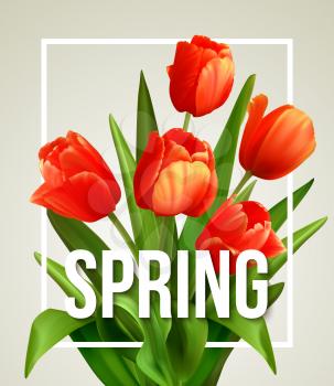 Spring text with  tulip flower. Vector illustration EPS10