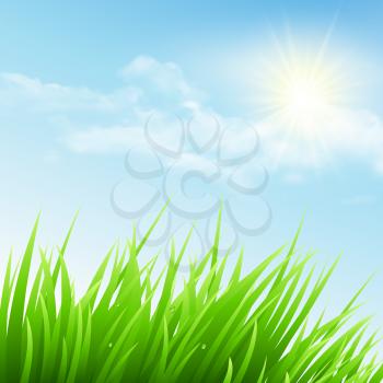Green grass and blue sky. Vector illustration EPS 10