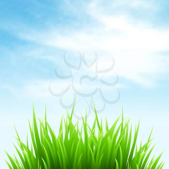 Clean spring amazing scenery. Vector nature landscape.