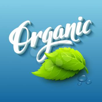 Realistic organic logo with leaves. Vector illustration EPS10