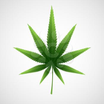 Cannabis marijuana hemp leaf. Vector illustration EPS 10