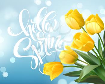 Hello Spring hand Lettering with tulip flower. Vector illustration EPS10