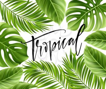 Summer poster with tropical palm leaf and handwriting lettering. Vector illustration EPS10