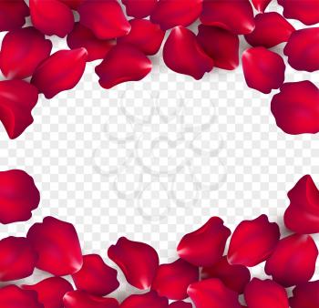 Falling red rose petals isolated on white background. Vector illustration EPS10