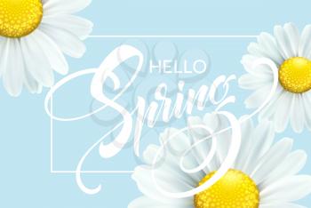 Calligraphic inscription Hello Spring with spring flower - blooming white daisy. Vector illustration EPS10