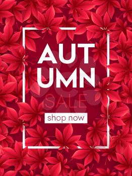 Autumn Sale background with Fall leaves. Vector illustration EPS10