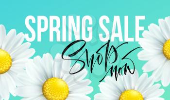 Spring sale banner, background with daisy flowers. Seasonal discount. Vector illustration EPS10