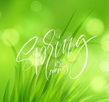 Frash Spring green grass background with handwriting lettering. Vector illustration EPS10