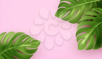 Bright pink summer background with tropical realistic monstera leaves. Background design for advertising leaflet, banner, flyer. Vector illustration EPS10