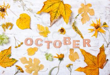 The word October with yellow leaves on a white wooden background. Autumn composition