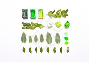 Paints, green leaves in a row. Concept art. Workplace, designer table.Flat lay, overhead view.Type flat, top view