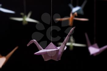 Origami Crane colored paper on a black background