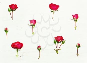 The pattern of flowers, red roses on a white background. Top view, flat