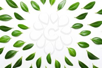 decor from green leaves on a white background, top view, flat