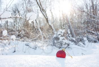Christmas red toy in the snow against the background of the winter forest. Concept of winter, holiday, New Year