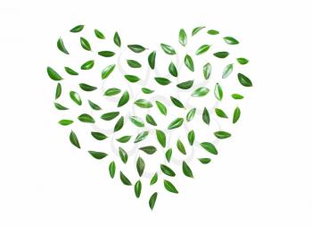 Heart from green leaves on a white background.Concept of love, eco. Type of flat
