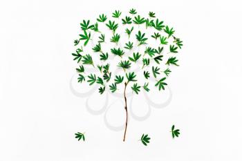  tree made of green leaves. Concept minimalistic natural minimal.View from above, flat
