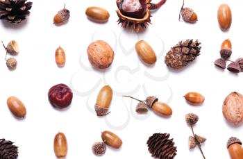 Composition of chestnut, pine cones, acorns on a white background. creative concept of autumn. Pastel colors. Top view, flat