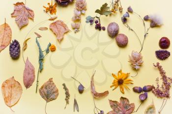 Background creative of yellow dry leaves, acorn, flowers. Autumn concept . Pastel colors. Top view, flat
