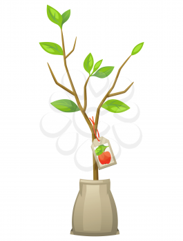 Seedling of apple tree with tag. Illustration for agricultural booklets, flyers garden.