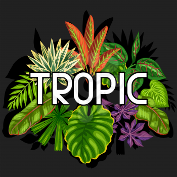 Background with stylized tropical plants and leaves. Image for advertising booklets, banners, flayers, cards, textile printing.