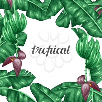 Background with banana leaves. Decorative image of tropical foliage, flowers and fruits. Design Image for advertising booklets, banners, flayers, cards.
