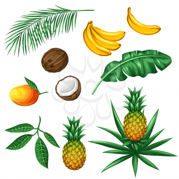Set of tropical fruits and leaves. Objects for decoration, design on advertising booklets, packaging, menu, flayers.