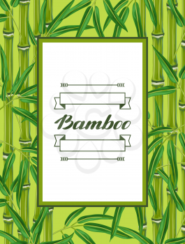 Frame with bamboo plants and leaves. Design for cards, flayers, brochures, advertising booklets.