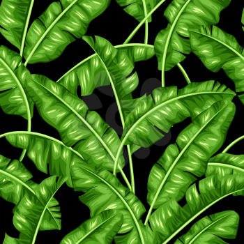 Seamless pattern with banana leaves. Image of decorative tropical foliage.