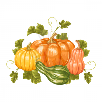 Design element with pumpkins. Decorative ornament from vegetables and leaves.