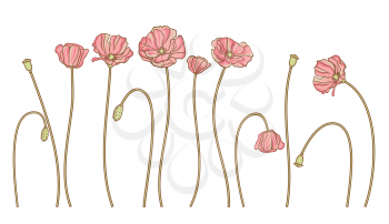 Vector hand draw flowers set isolated on white.