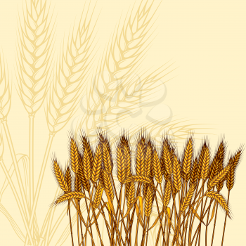 Background with ripe yellow wheat ears vector illustration.