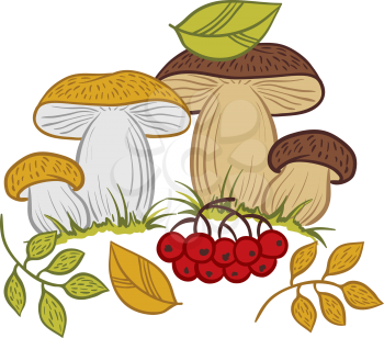 Mushrooms, leaves and berries autumn vector illustration.