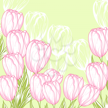 Spring floral background with pink tulips. Vector card.