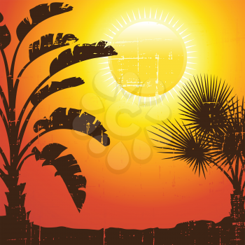 Background with palm trees silhouette at sunset.