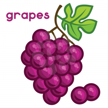 Stylized illustration of fresh grapes on white background.