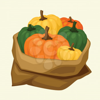 Illustration of stylized sack with fresh ripe pumpkins.