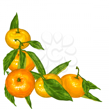 Decorative element with mandarins. Tropical fruits and leaves.