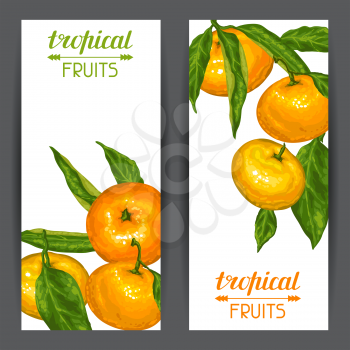 Banners with mandarins. Tropical fruits and leaves.
