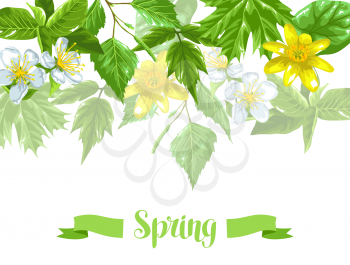 Spring green leaves and flowers. Background with plants twig buds.