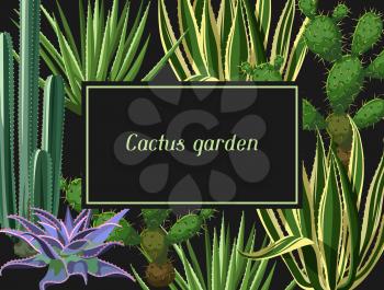 Card with cactuses and succulents set. Plants of desert.