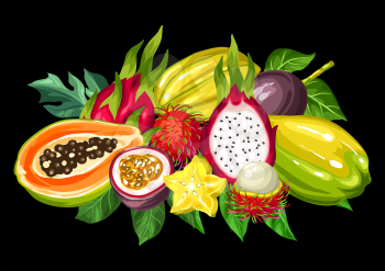 Exotic tropical fruits collection. Illustration of asian plants.