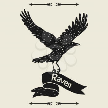 Background with black flying raven. Hand drawn inky bird and ribbon.