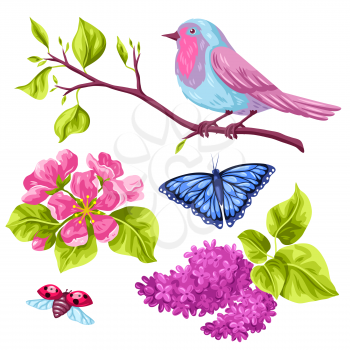 Spring garden set of objects. Natural illustration with blossom flower, robin birdie and butterfly.