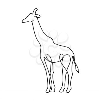 Endless line art illustration of giraffe. Continuous black outline drawing on white background.