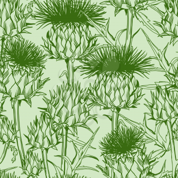 Seamless pattern with onopordum acanthium. Scottish thistle.
