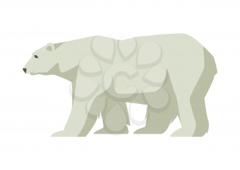 Polar white bear. Illustration of a northern animal.