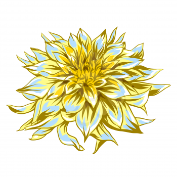 Illustration of fluffy yellow dahlia. Beautiful decorative flower.